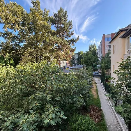 Elegance Apartment Timişoara