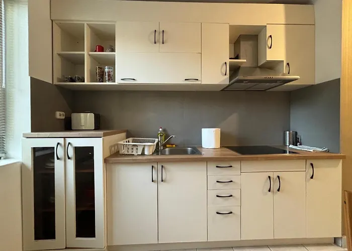 Apartment Elegance Timişoara